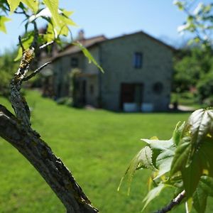 Castagna Dulcis